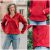 Liesl + Co. Antwerp Pullover Downloadable Pattern LC056AP