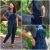 Itch to Stitch Varzim Overalls Downloadable Pattern ITS091